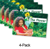The Flower (Orange System)