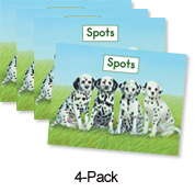 Spots (Orange System)