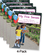 My Five Senses (Green System)