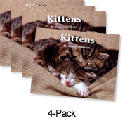 Kittens (Blue System)