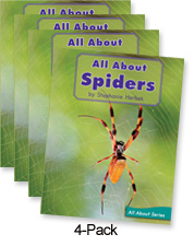 All About Spiders (Blue System)