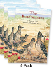 The Roadrunners (Blue System)