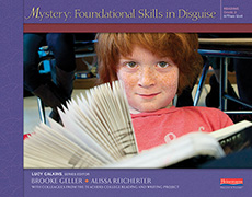 Link to Mystery: Foundational Skills in Disguise, Grade 3