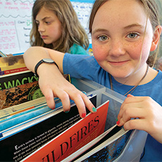 Link to Teachers College Reading and Writing Project Classroom Library, Grade 3, BelowBenchmark