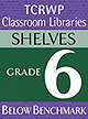 Grade 6 Below Benchmark Library Shelves