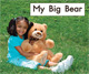 My Big Bear (Kindergarten Getting Started LAp Books)