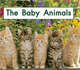 The Baby Animals (Kindergarten Getting Started Lap Books)