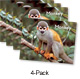 Monkey (Green System)