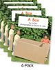 A Box (Green System)