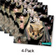 All About Bats (Blue System)