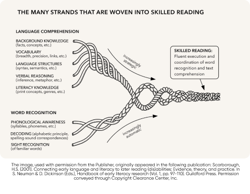 The many strands that are woven into skilled reading. Language comprehension becomes increasingly strategic: Background knowledge (facts, concepts, etc.), Vocabulary (breadth, precision, links, etc.), Language Structures (syntax, semantics, etc.), Verbal Reasoning (inference, metaphor, etc.), Literacy Knowledge (print concepts, genres,etc.). Word Recognition becomes increasingly automatic: Phonlogical Awareness (syllables, phonemes, etc.), Decoding (alphabetic principle, spelling-sound correspondences), Sight Reognition (of familiar words). The result is skilled reading: fluent execution and coordination of word recognition and text comprehension. The image, used with permission from the Publisher, originally appeared in the following publication: Scarborough, H.S. (2001). Connecting early language and literacy to later reading (dis)abilities: Evidence, theory, and practice. In S. Neuman & D. Dickinson (Eds.), Handbook of early literacy research (Vol. 1, pp. 97-110). Guildford Press. Permission conveyed through Copyright Clearance Center, Inc.