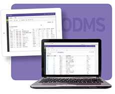 Learn more aboutFountas & Pinnell Online Data Management System for Benchmark Assessment