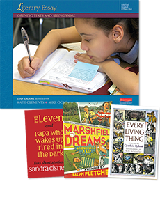 Link to Literary Essay: Opening Texts and Seeing More, Bundle with Trade Pack, Grade 5