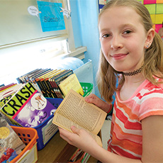 Link to Teachers College Reading and Writing Project Classroom Library, Grade 5, Below Benchmark