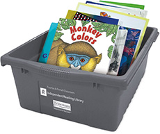 Learn more aboutFountas & Pinnell Classroom Independent Reading Collection, Grade 1
