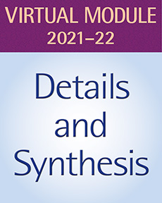 Learn more aboutDetail and Synthesis, Grade 4 Reading: Virtual Teaching Resources Subscription, 2021-22