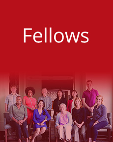 2018 Heinemann Fellows